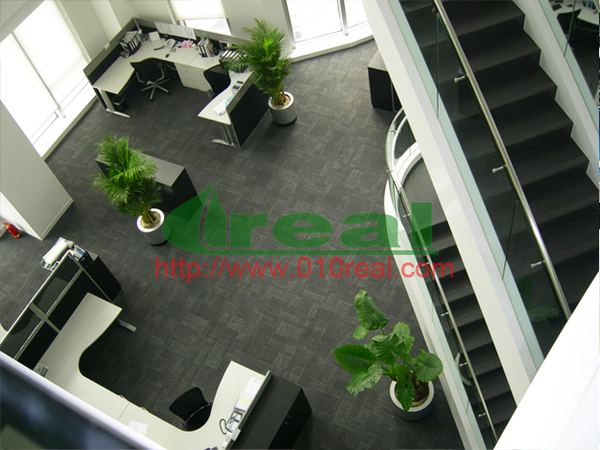 1-1 办公室环境绿化装饰方案设计